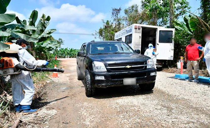 Agrocalidad activa controles ante riesgo de propagación de Fusarium en El Oro