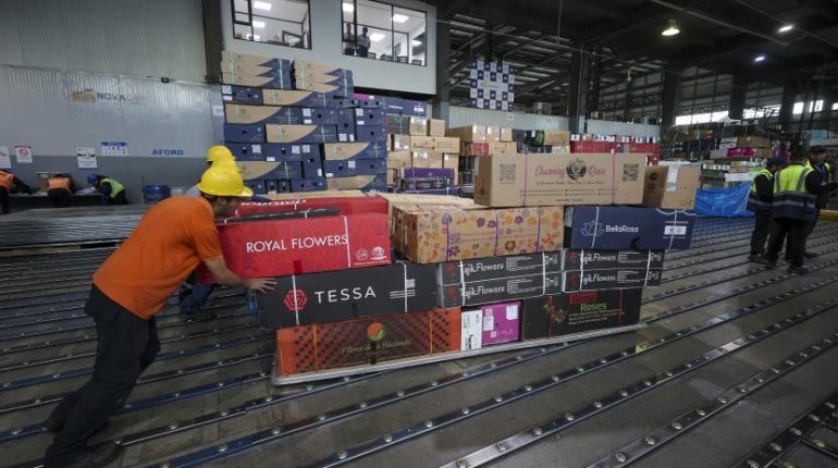 Arancel global de Trump golpea exportaciones ecuatorianas