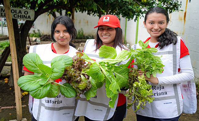 Cruz Roja impulsa mantenimiento de huertos hidropónicos