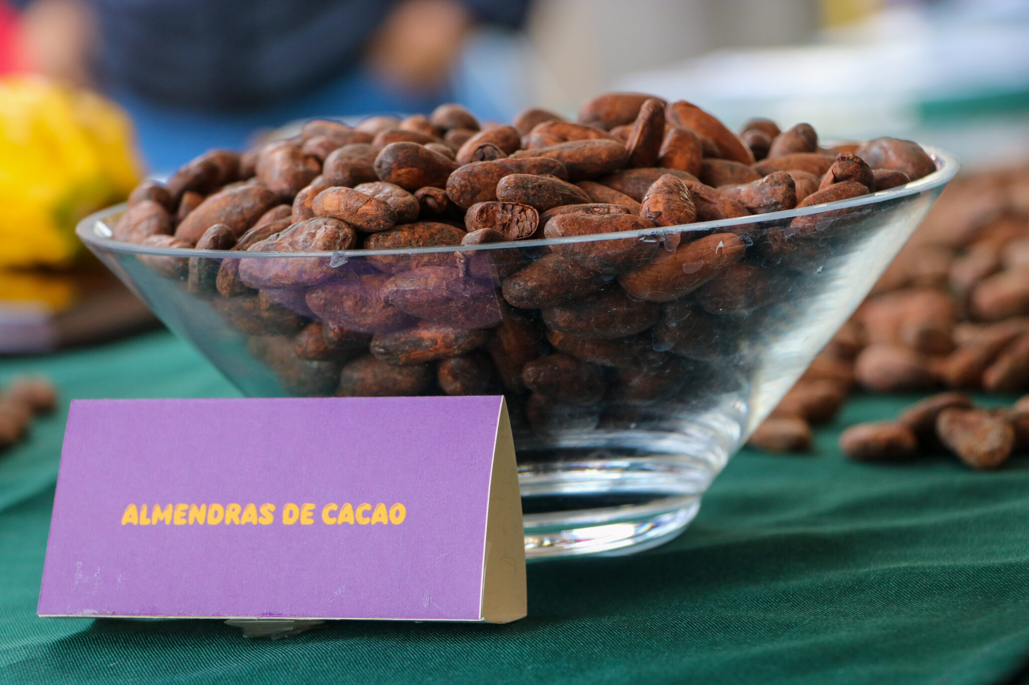 gobierno-impulsa-cacao-con-feria-nacional.ecuador221.com_.ec_ Gobierno impulsa cacao con feria nacional