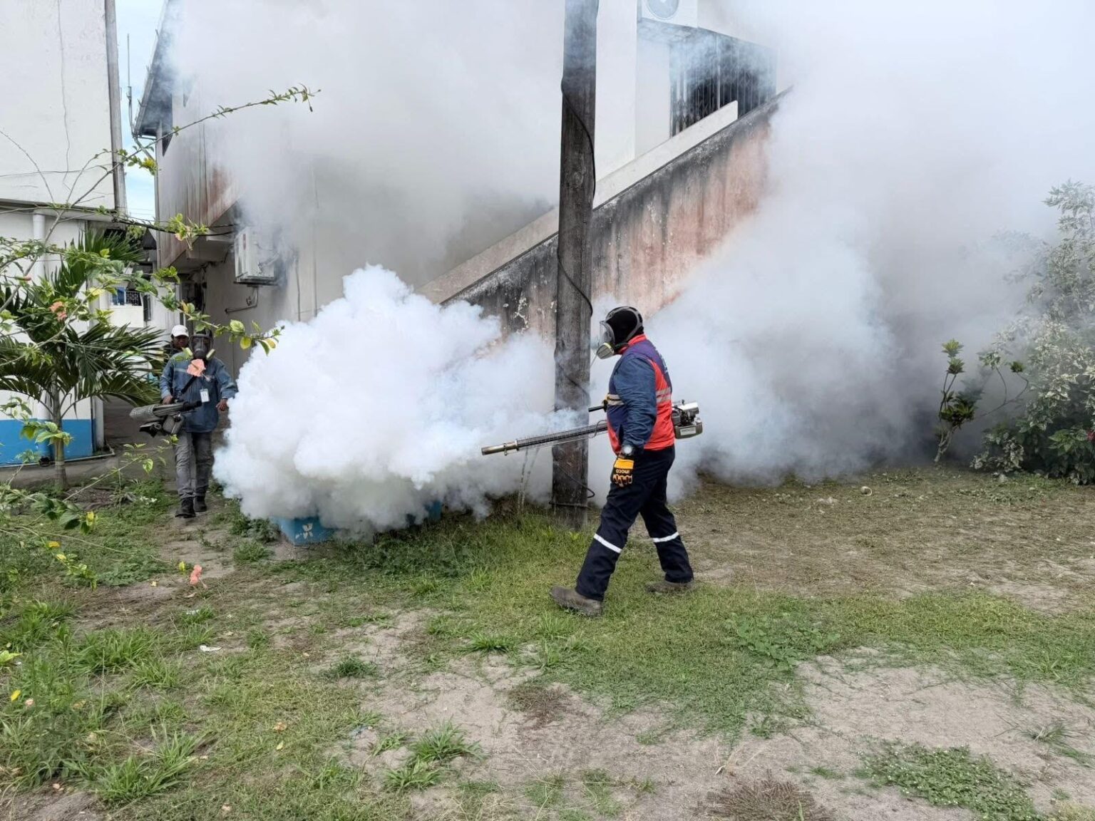 gobierno-intensifica-acciones-estrategicas-contra-el-dengue.ecuador221.com_.ec_ Gobierno intensifica acciones estratégicas contra el dengue