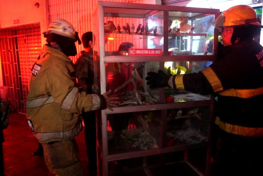 guayaquil-activa-alerta-ambiental-por-incendio.ecuador221.com_.ec_ Guayaquil activa alerta ambiental por incendio