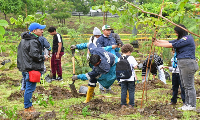 Guayaquil siembra 1.200 árboles en su apuesta por una ciudad que respira