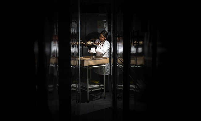 inauguran-en-galapagos-edificio-de-colecciones-de-historia-natural-ecuador221.com_.ec_ Inauguran en Galápagos edificio de Colecciones de Historia  Natural