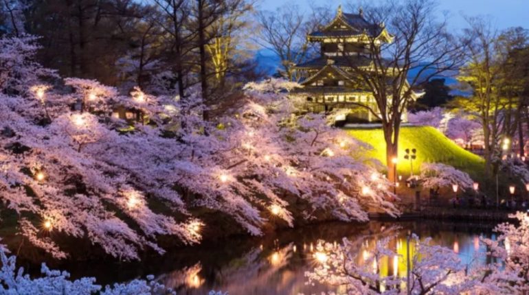 Japón cancela festival de cerezos por desorden turístico