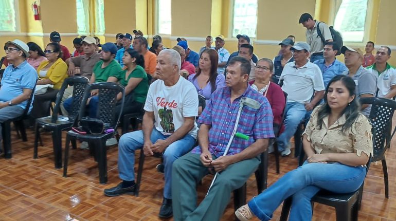 MAGP fortalece sector platanero con política pública