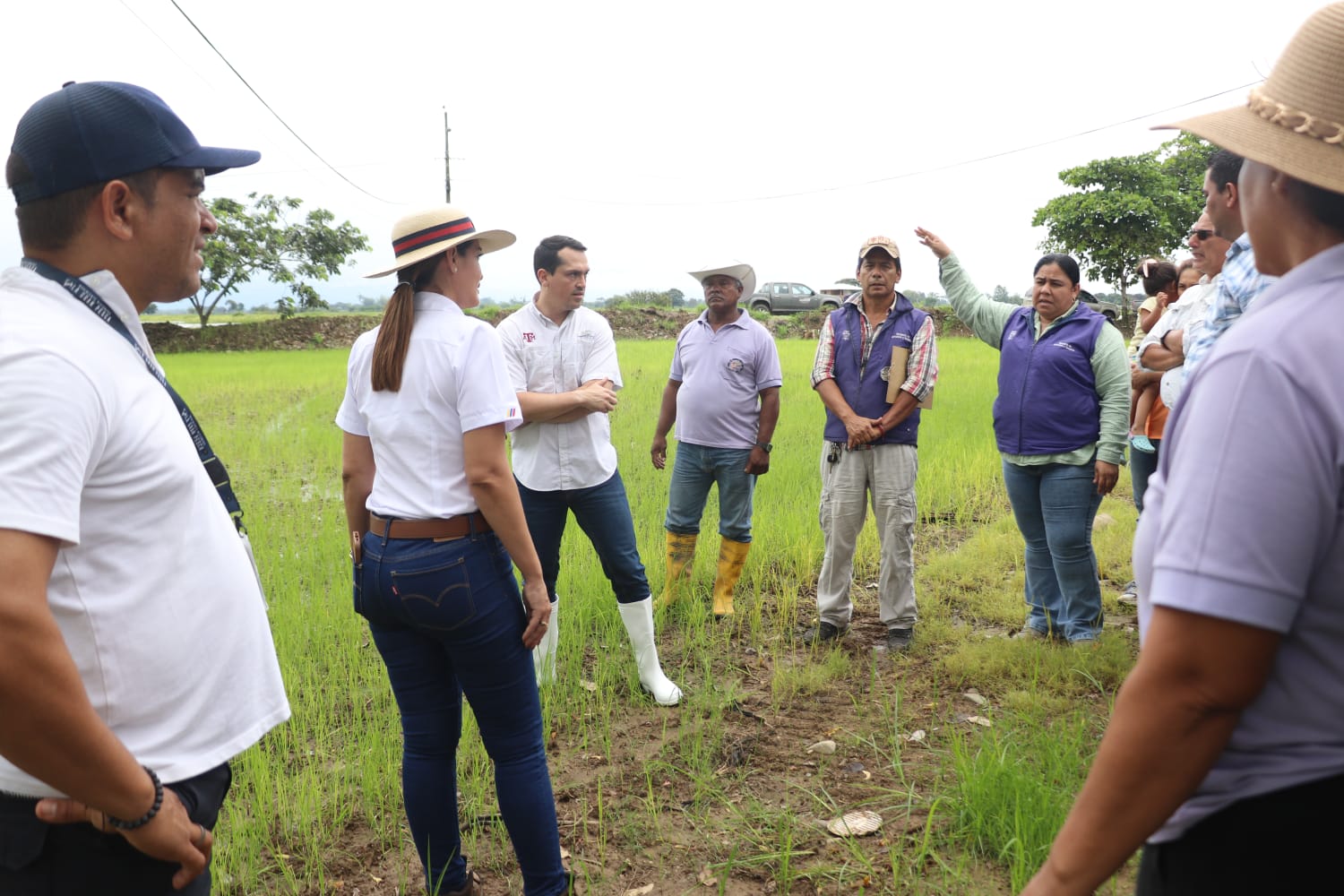 ecuador 221 mesa-manos-para-el-campo-refuerza-apoyo-arrocero.ecuador221.com_.ec_ Mesa Manos para el Campo refuerza apoyo arrocero