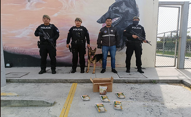 policia-decomisa-cocaina-que-iba-a-espana-y-estados-unidos-ecuador221.com_.ec_ Policía decomisa cocaína que iba a España y Estados Unidos