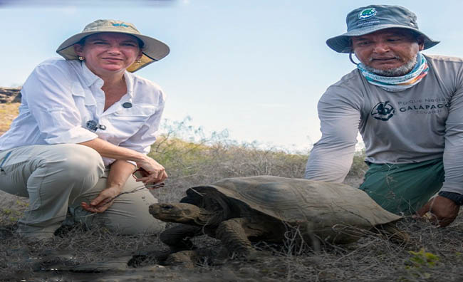 Tortugas gigantes vuelven a la isla Floreana