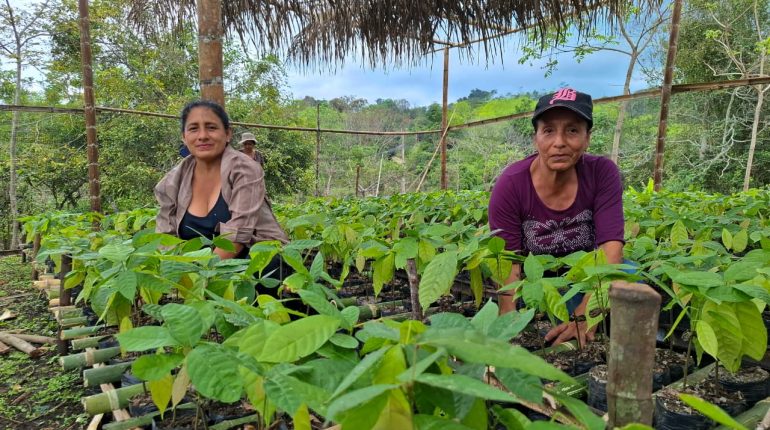 Escuelas agrícolas producen plantas y fortalecen campo manabita