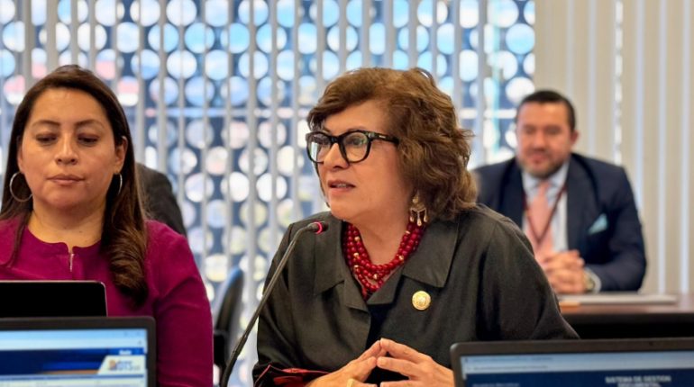 Exministra Ivonne Núñez recibe sanción electoral del TCE