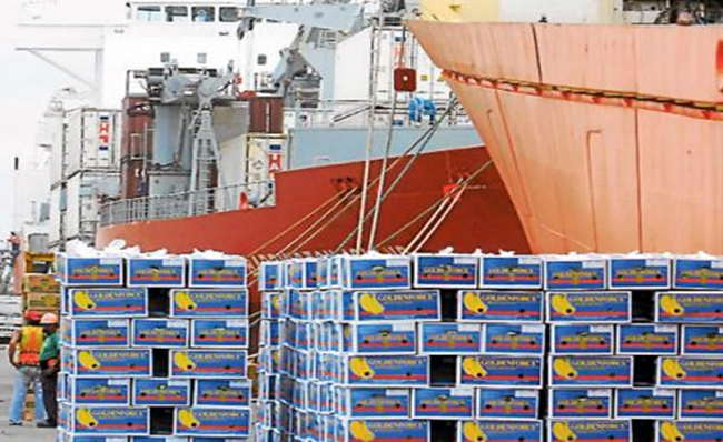 Exportaciones de banano crecen 11,79% hasta febrero de 2026
