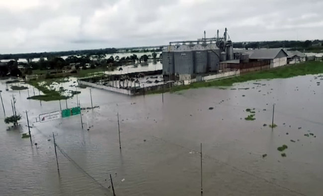La industria arrocera sufre millonarias pérdidas por las lluvias