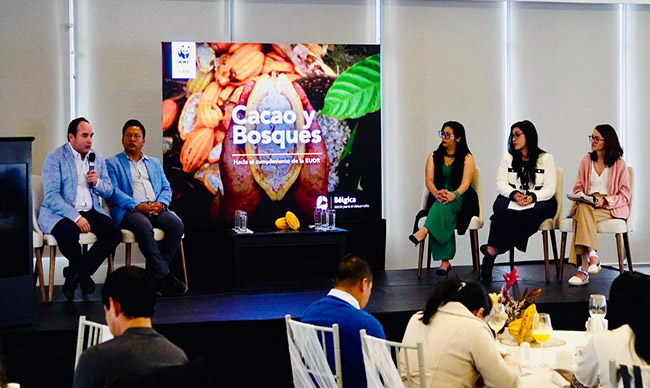 La WWF impulsa sostenibilidad en evento Cacao y Bosques en Tena
