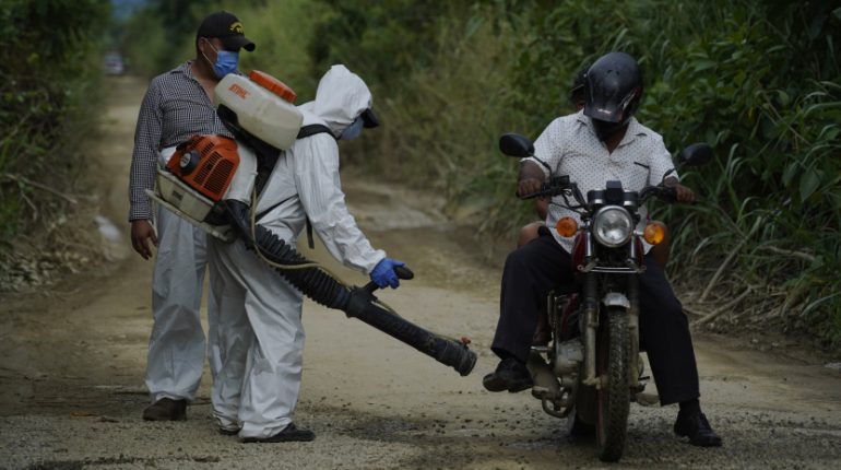 Lluvias tensionan control del Fusarium en El Oro