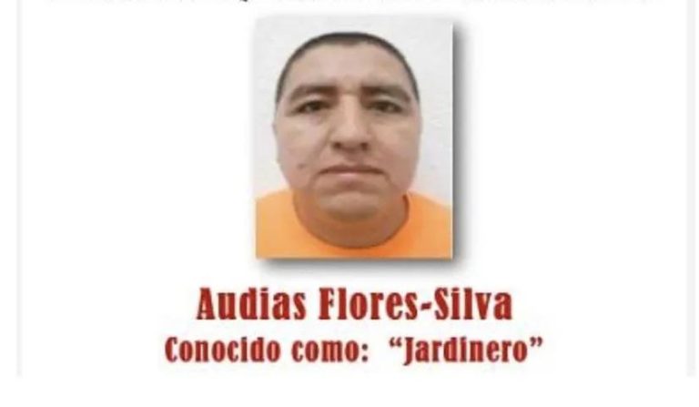 Capturan a líder clave del CJNG tras operativo militar - Ecuador 221