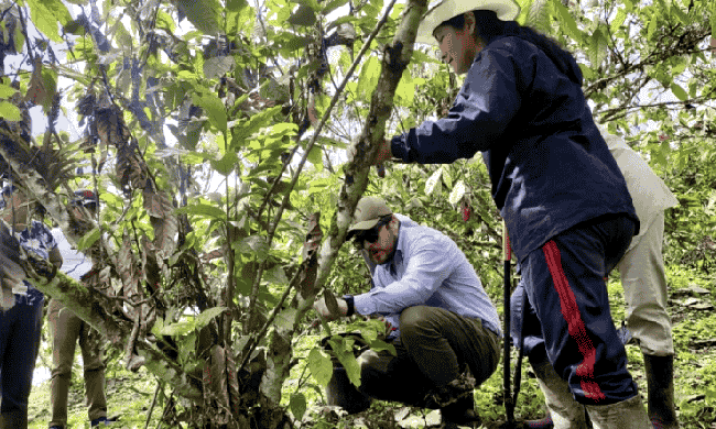 Ecuador capta USD 1.299 millones en inversión extranjera