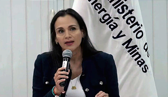 Inés Manzano está lista para la transición en Ambiente y Energía