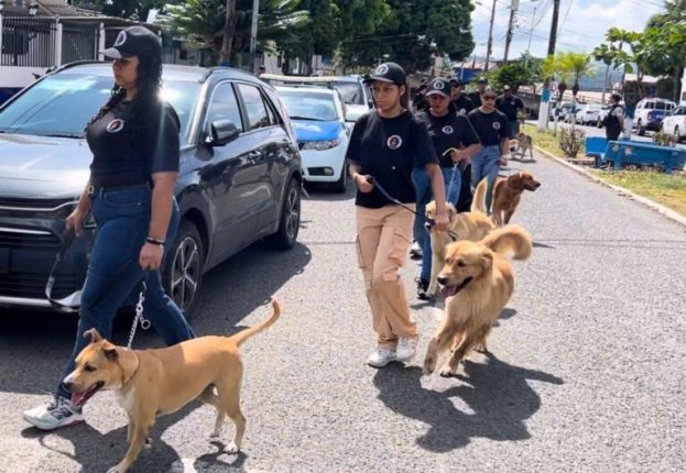 Policía clausura curso canino y promueve tenencia responsable