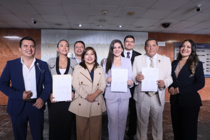 Asamblea impulsa ley para controlar sistemas de videovigilancia