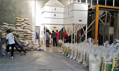 BanEcuador pagará a 7000 productores arroceros