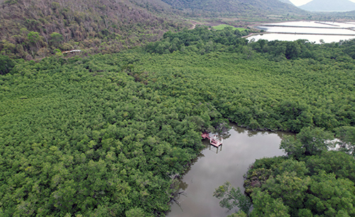 Cinco áreas naturales de Ecuador buscan ser declaradas Patrimonio Mundial