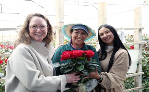 Ecuador y Colombia movilizarán más de 2,8 millones de libras de flores