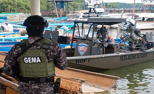 Feriado: 170 aprehendidos y 30 armas decomisadas durante feriado en Zona 8