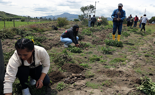 Gobierno busca transformar el campo, de la mano de jóvenes rurales