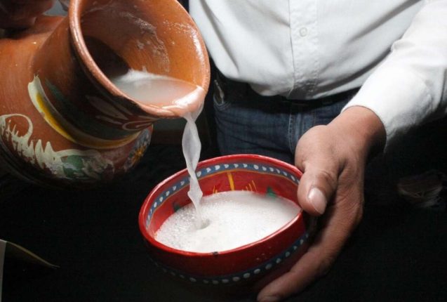 Quito sede de festival de la chicha