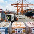 Ecuador con potencial para exportar pollo, cerdo y camarón