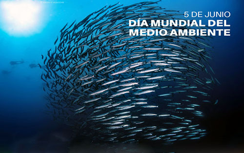hoy-se-celebra-dia-mundial-del-medio-ambiente-ecuador221.com_.ec_ Hoy se celebra Día Mundial del Medio Ambiente