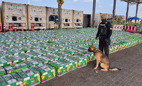 Policía decomisa 400 kilos de cocaína ocultos en un contenedor en Posorja