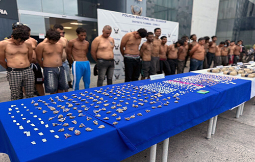 Policía detiene a 29 personas en operativo Apolo 22 en Guayaquil