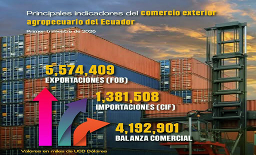 Balanza comercial de Ecuador se contrajo por tercer mes consecutivo