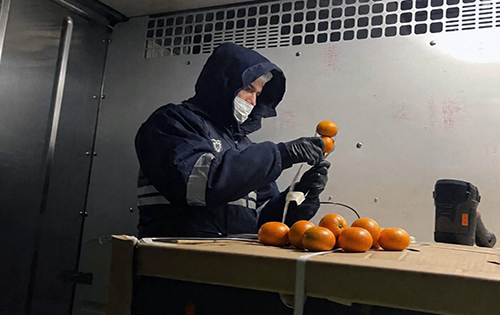Ecuador exporta a EEUU 23.430 kilogramos de mandarina variedad tango