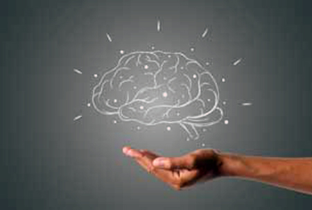 Hoy es el Día Mundial del Cerebro