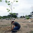 120 árboles nativos se suman a las áreas verdes de Guayaquil