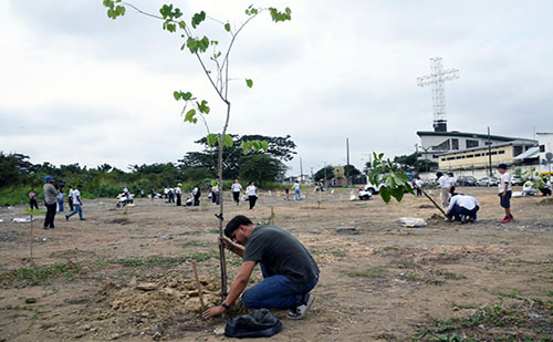 ecuador 221 120-arboles-nativos-se-suman-a-las-areas-verdes-de-guayaquil-ecuador221.com_.ec_ 120 árboles nativos se suman a las áreas verdes de Guayaquil