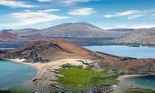 Abren convocatoria del fondo para control de especies invasoras en Galápagos