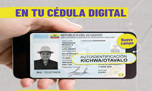 Cédula digital: cómo sacarla desde el celular y qué validez tiene