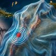 Chocó concentra nuevos sismos tras el terremoto del 10 de agosto