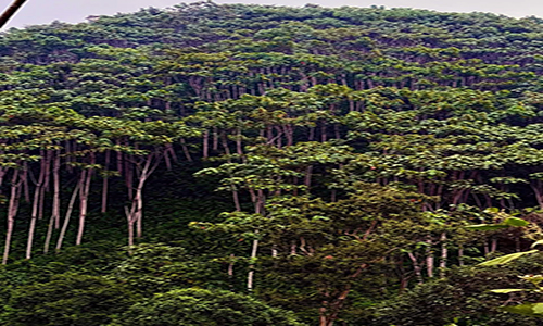 Ecuador construye la estrategia nacional de la balsa