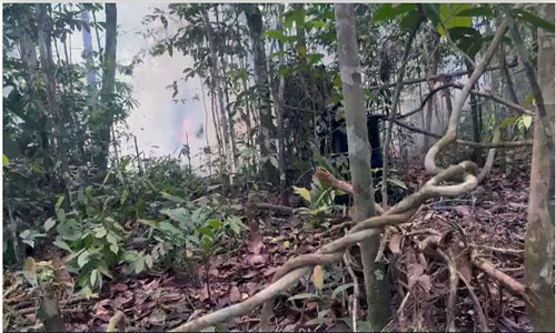 FFAA inhabilitan refinería clandestina de petróleo en Lago Agrio