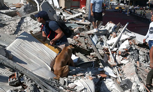 Instituto de Medicina Legal de Colombia identifica a 304 víctimas del terremoto