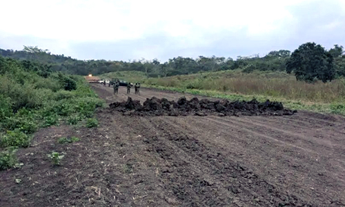 Policía y militares inutilizan pista clandestina en Colimes
