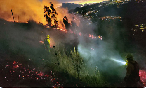 Quito: Bomberos controlan incendio forestal en las faldas del Ilaló