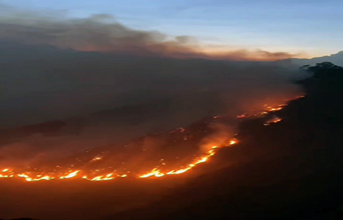 Quito: Incendio forestal crece en El Quinche