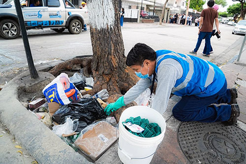 6-raticida Prefectura del Guayas atiende a Urdesa Central con brigadas de desratización y fumigación