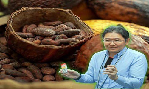 Empresa japonesa convierte la cascarilla en polvo fino